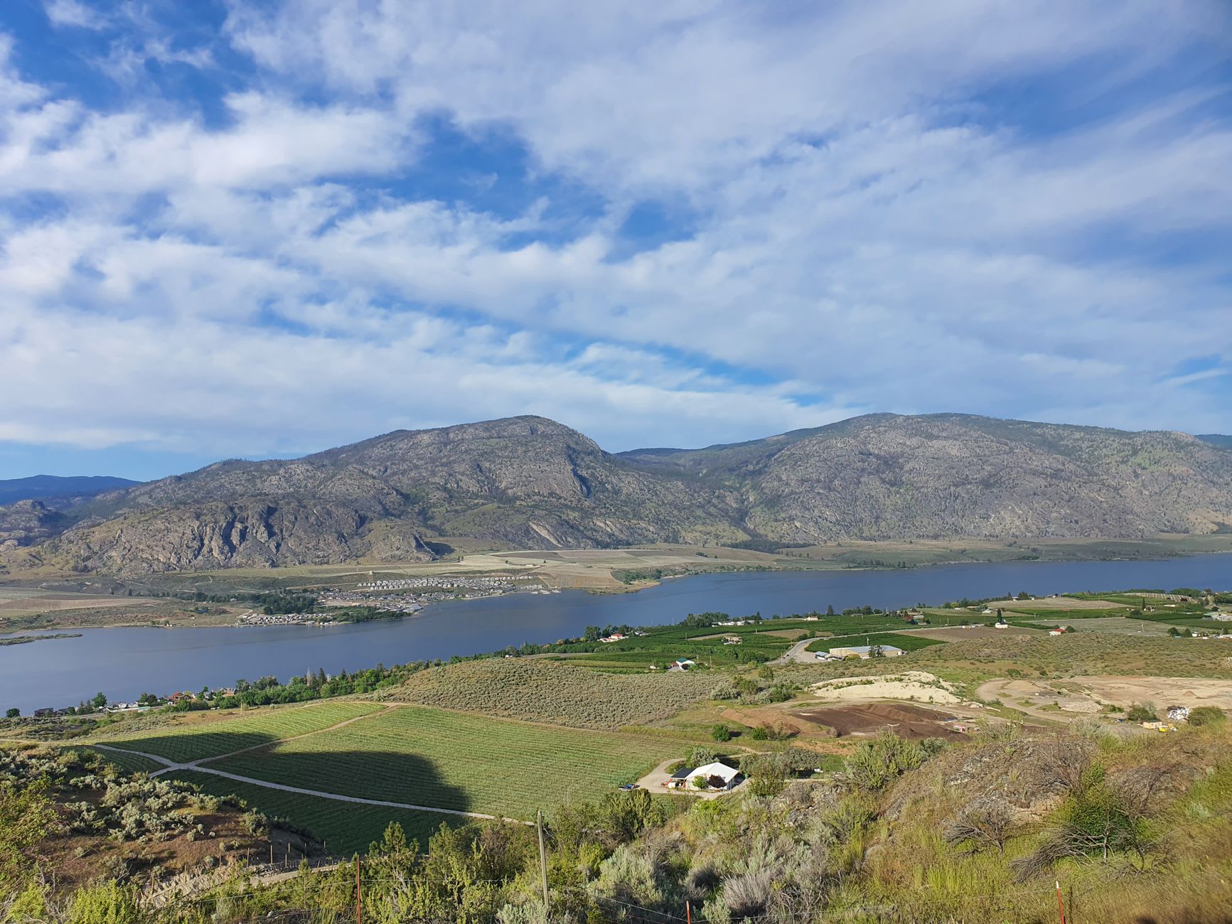 A winery tasting room patio overlooking a Naramata Bench vineyard and the blue length of Okanagan Lake