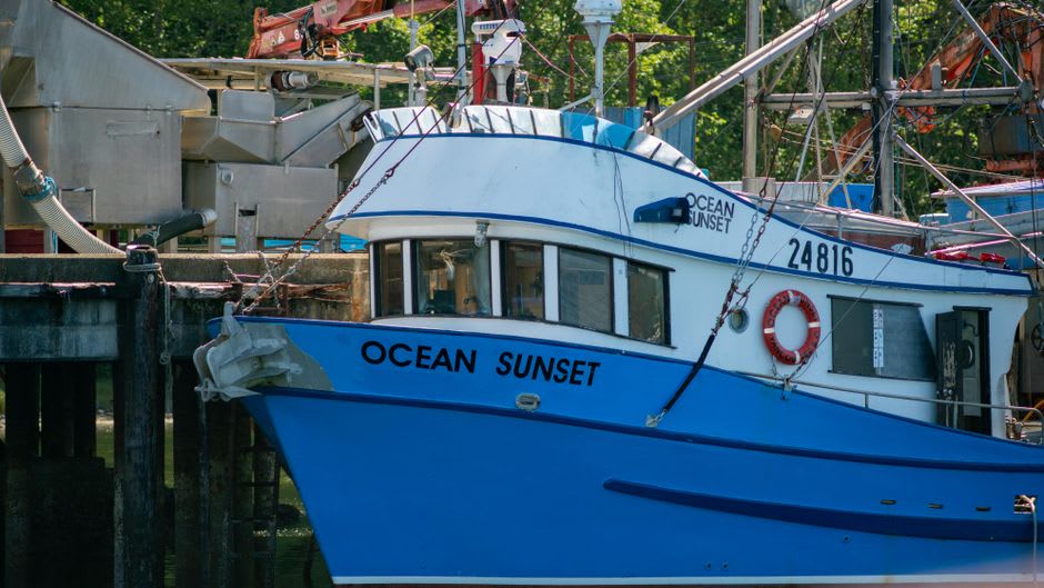 Des bateaux de pêche amarrés dans le port actif d'Ucluelet avec des quais commerciaux et des collines boisées derrière