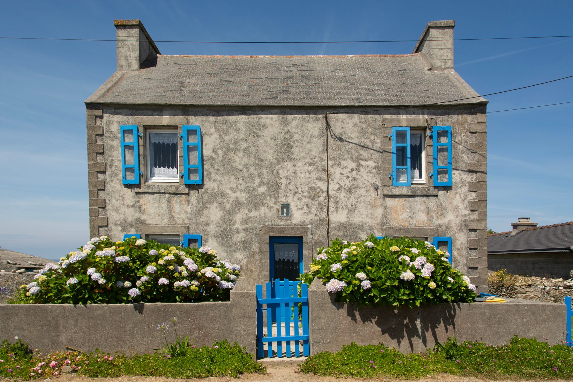 Filas de cebollas rosas de Roscoff trenzadas colgando de vigas de madera en una granja local cerca del puerto