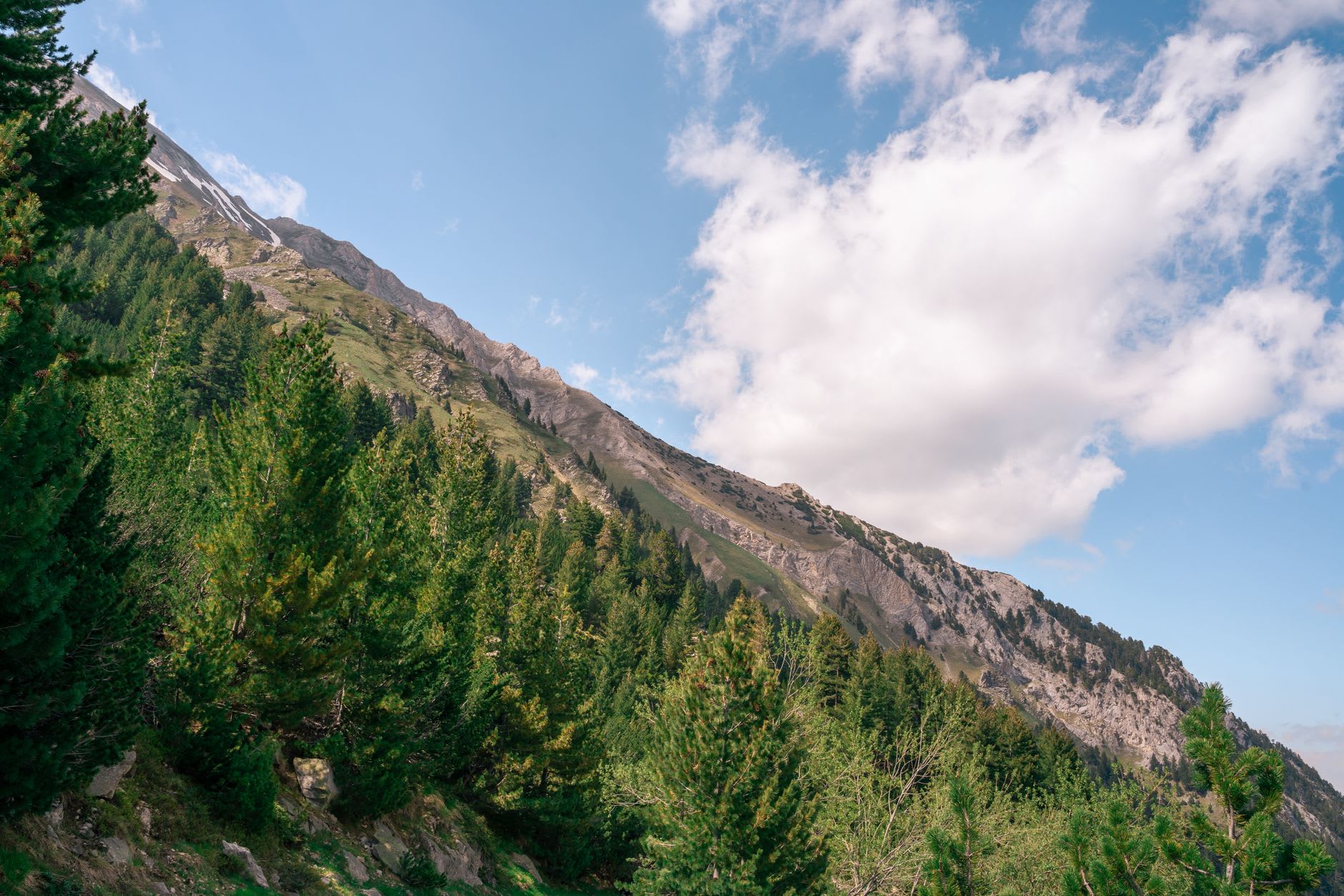 Rila foothills trail above Sapareva Banya
