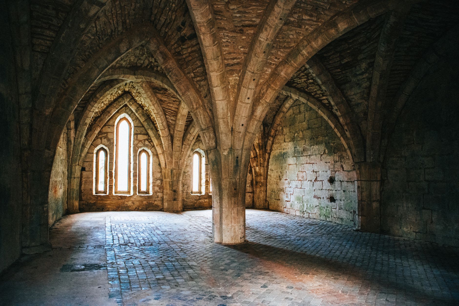 The Romanesque cloister of Fontenay, paired stone columns surrounding a square of grass in cool morning light