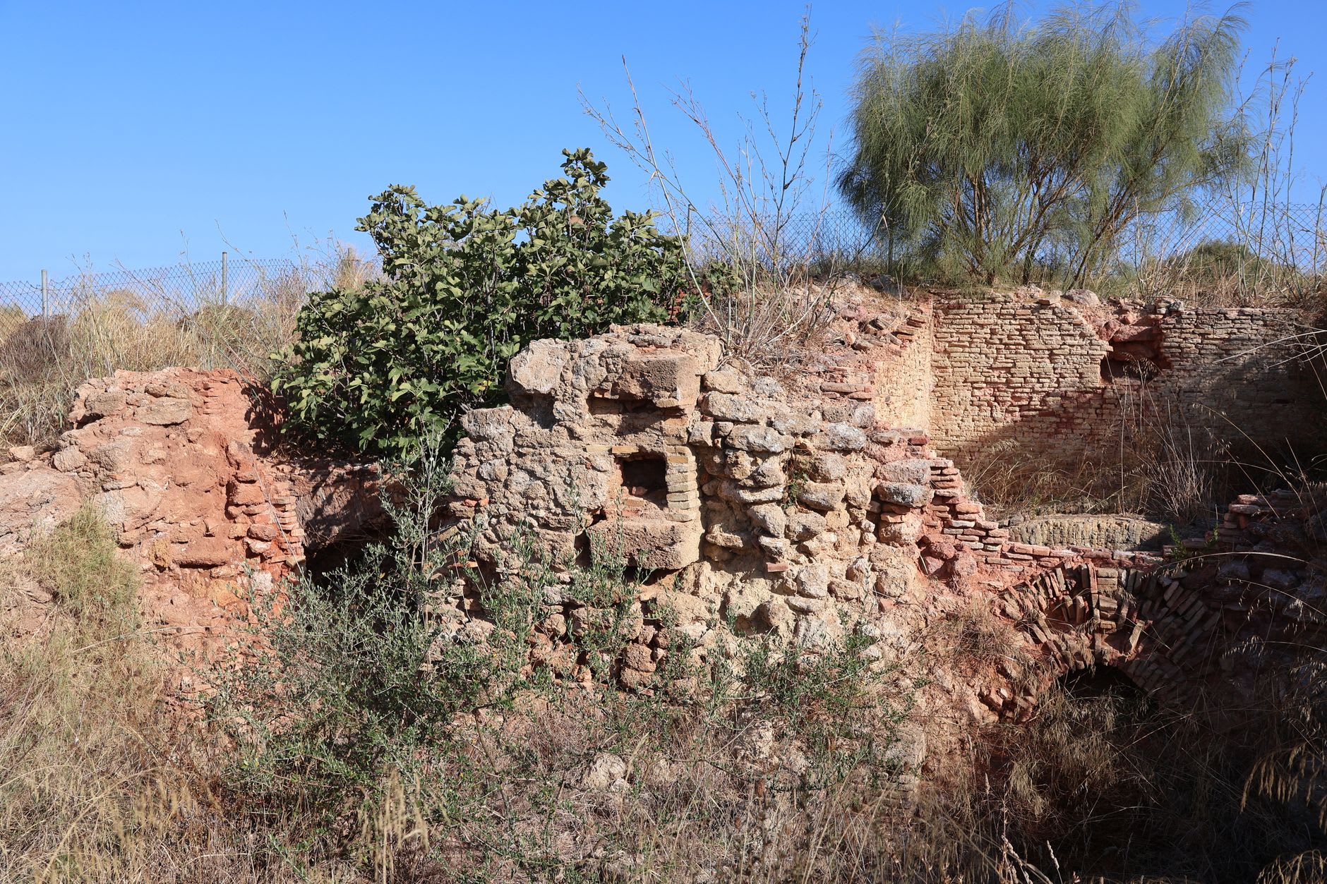Close detail of the fitted dry-stone construction of the Loropéni Ruins, roots of a large tree growing in the mortar-free joints between the carefully selected laterite blocks