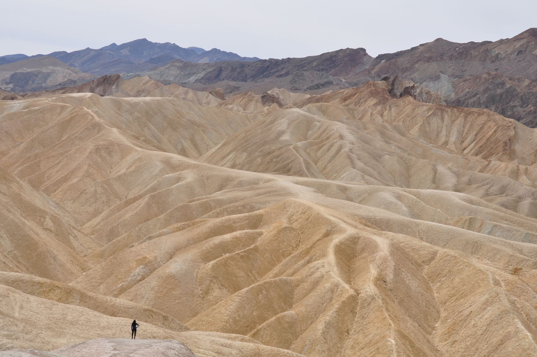 Zabriskie Point al amanecer, las capas de erosión de las badlands resplandeciendo en ámbar y oro bajo un cielo rosa pálido