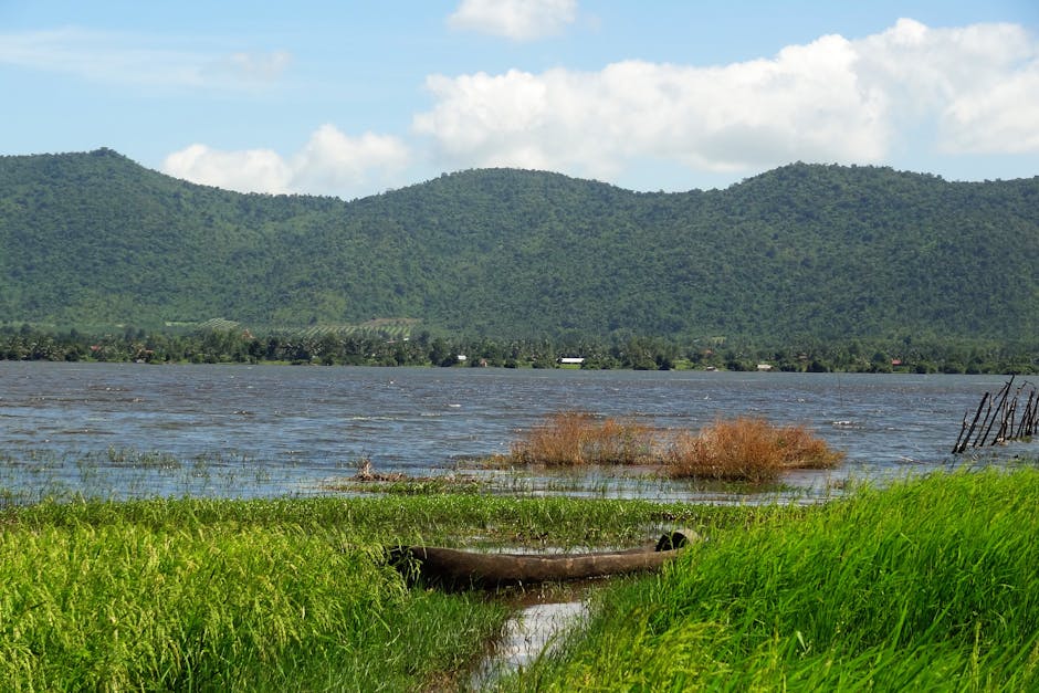 Serene river scene with lush tropical vegetation along the banks of Kampot