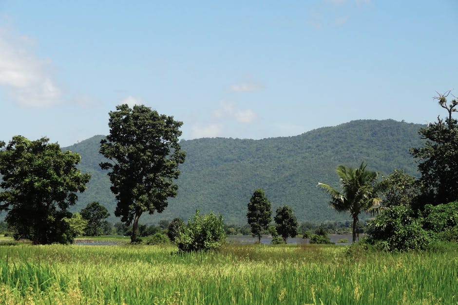 Limestone karst mountains rising above the Kampot countryside at dusk