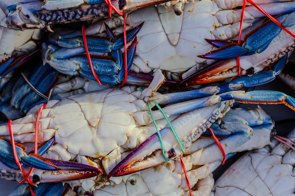 Fresh seafood spread at the famous Kep crab market by the water
