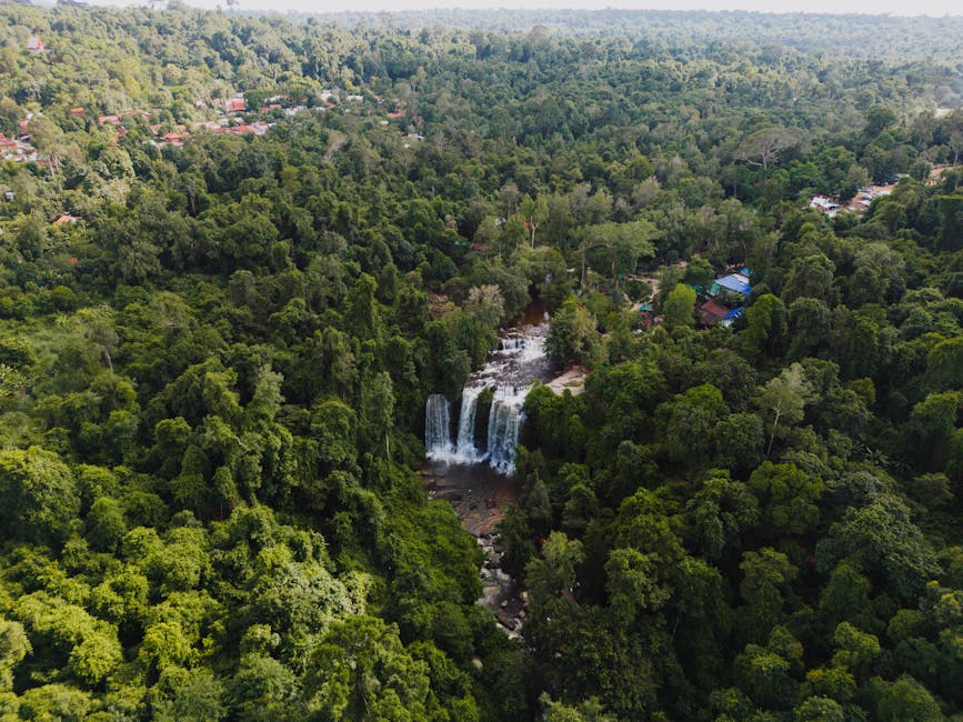 A dramatic waterfall cascading through dense tropical forest in Mondulkiri
