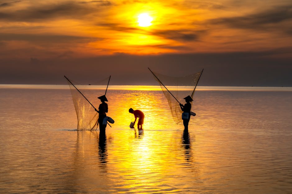 Coastal sunset view with boats silhouetted against the evening sky