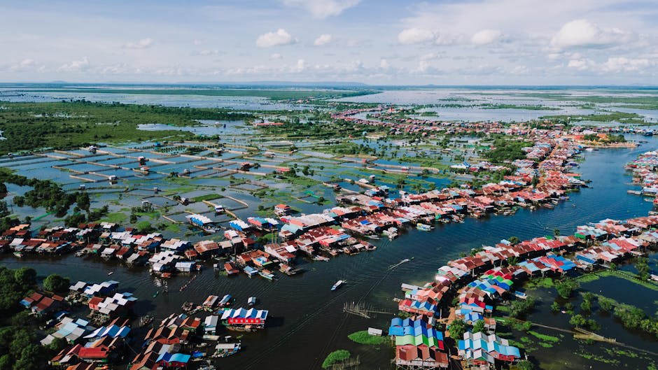 A boat navigating through the flooded mangrove forest near Tonle Sap