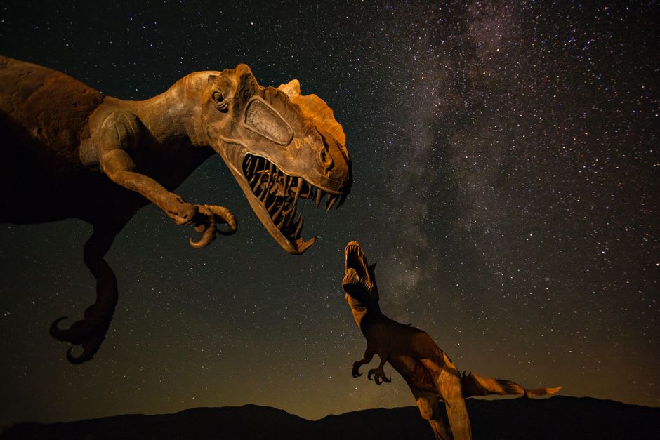 A towering fibreglass T. rex statue overlooking the Red Deer River valley