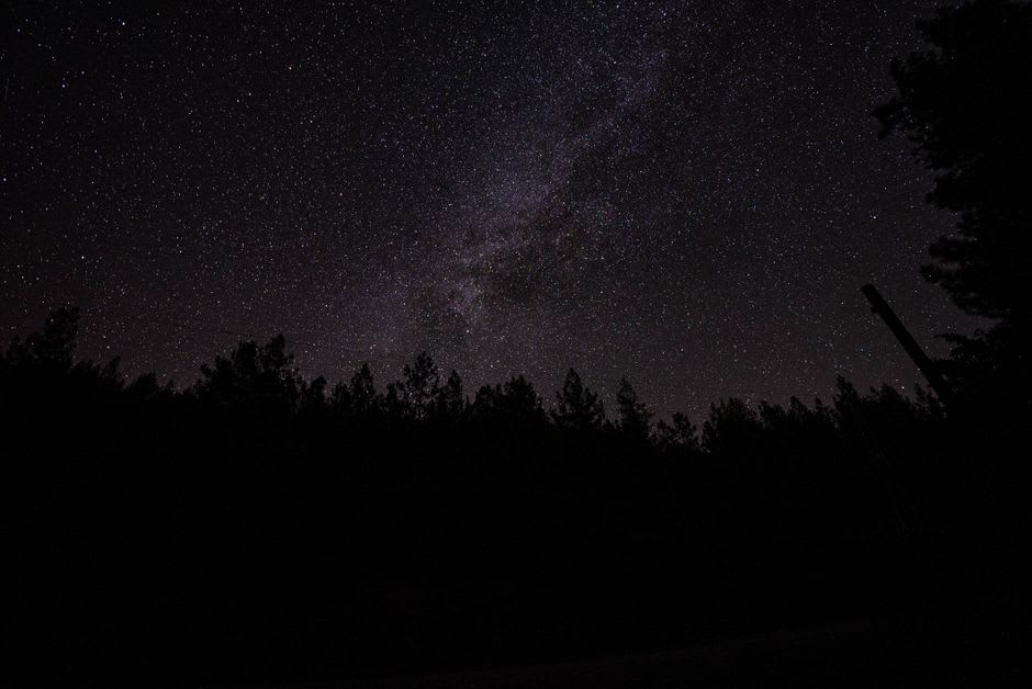 Milky Way visible over a dark forest ridge near Haliburton
