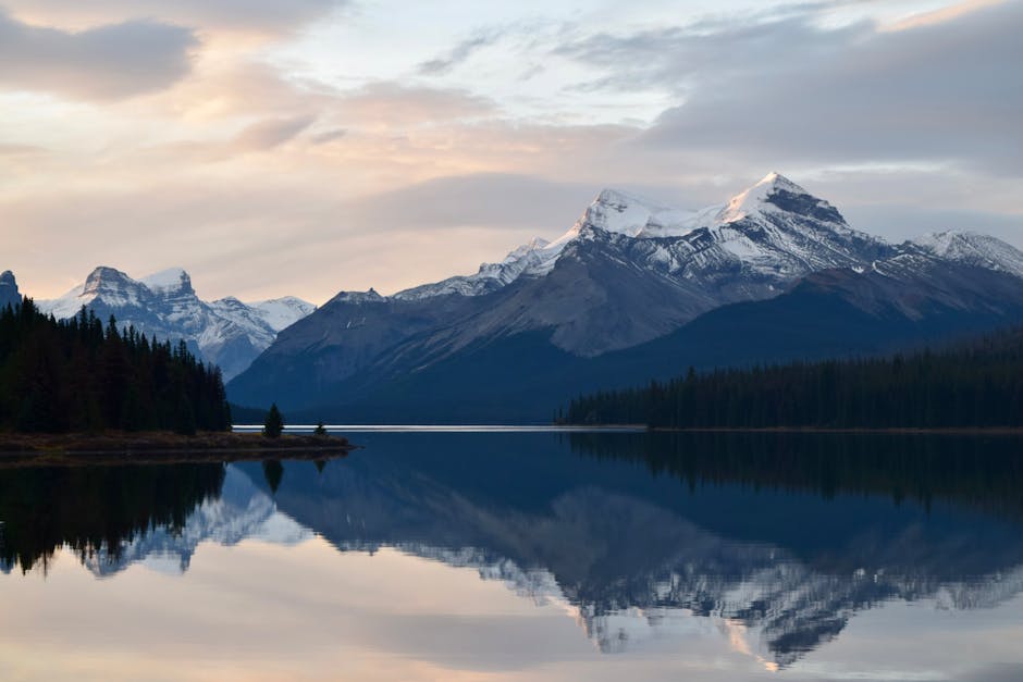 Rugged mountain peaks rising above dense boreal forest