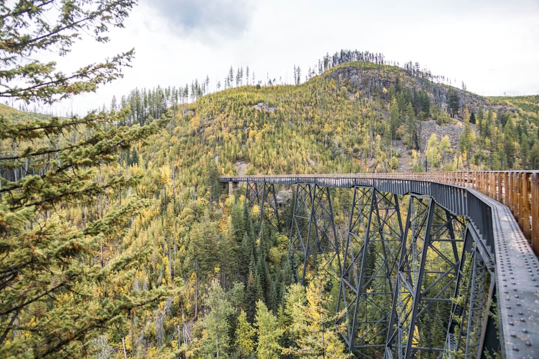 Historic wooden railway trestle bridge spanning a deep canyon with pine forest below