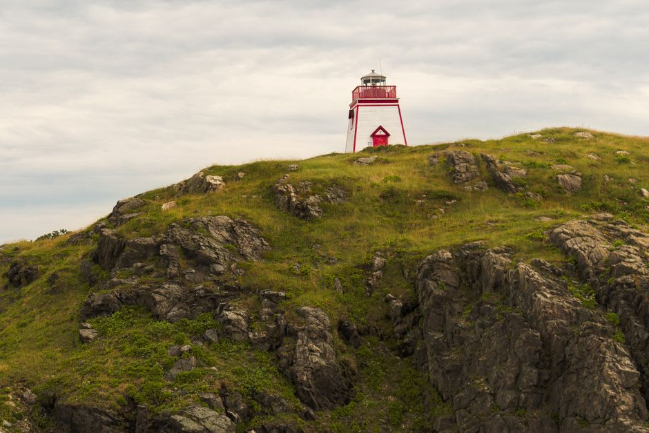Wide view of the grassy headland and rocky shoreline near L'Anse aux Meadows under an overcast sky