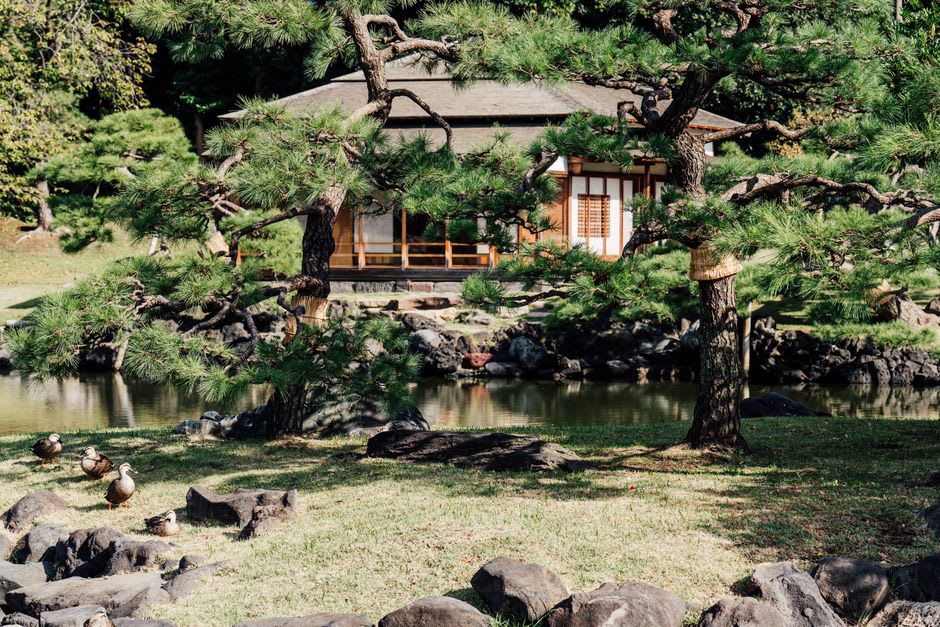 Koi pond and traditional pavilion inside the Nikka Yuko Japanese Garden