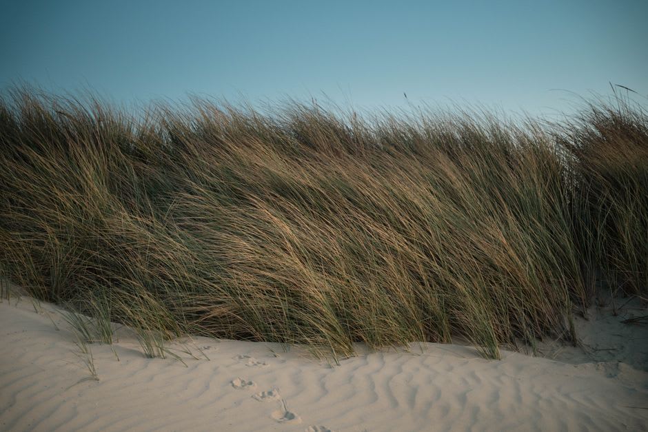 Wind-sculpted sand dunes and grass along a Magdalen Islands beach