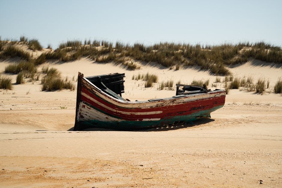 A weathered shipwreck timber half-buried in the sand dunes of Sable Island