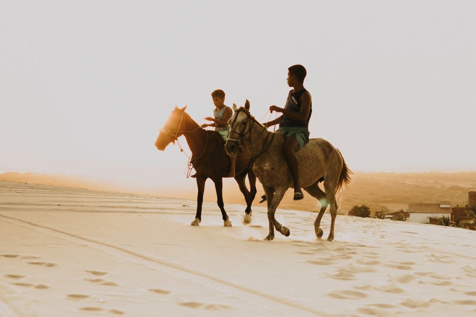 Wild horses silhouetted against the dunes at sunset on Sable Island