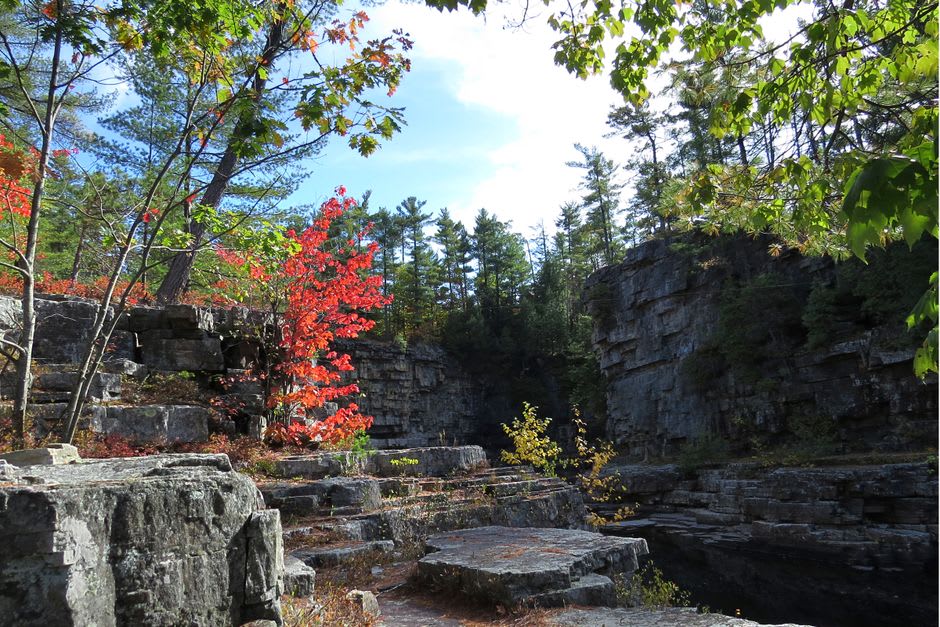 Fall foliage blazing along the Agawa Canyon rail line