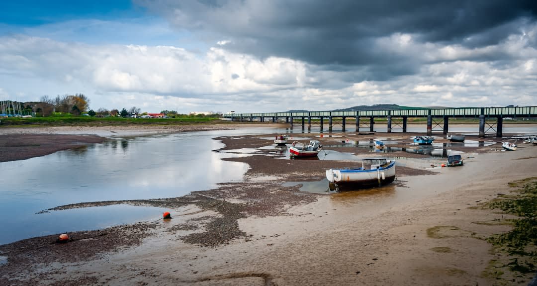 Windsurfers and kiteboarders skimming across a wide river estuary with mountains behind