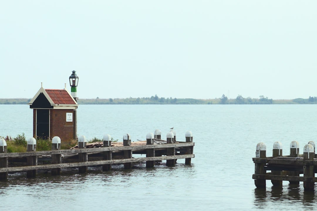 Small fishing harbour with wooden docks and boats along a forested coastline