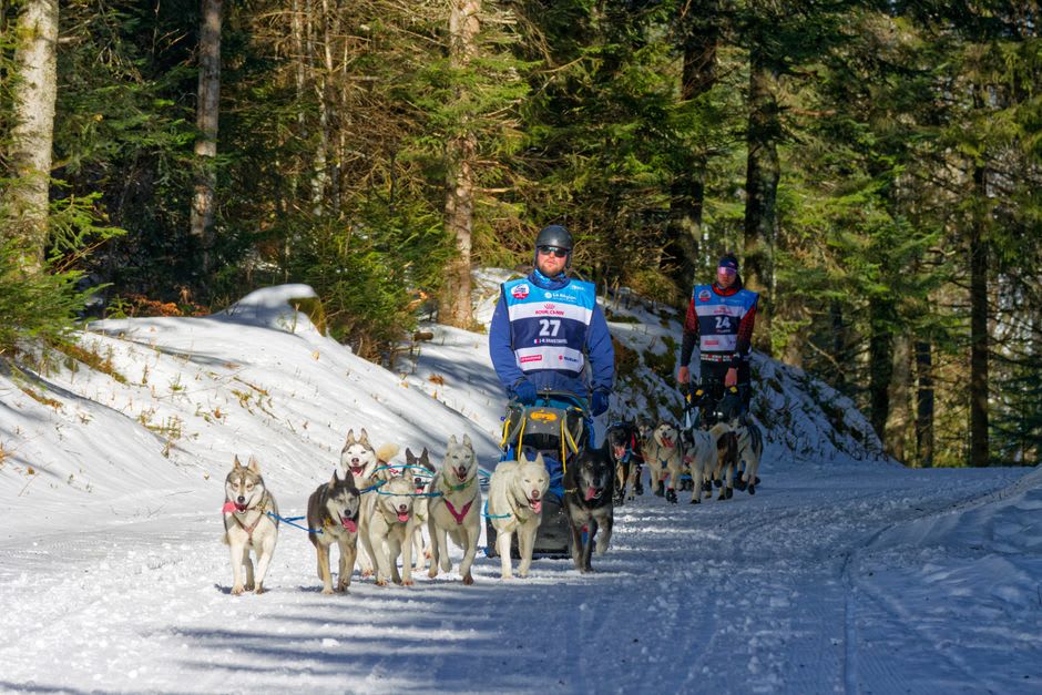 Musher and dog sled team departing at the start of a winter race in Whitehorse, spectators along the trail