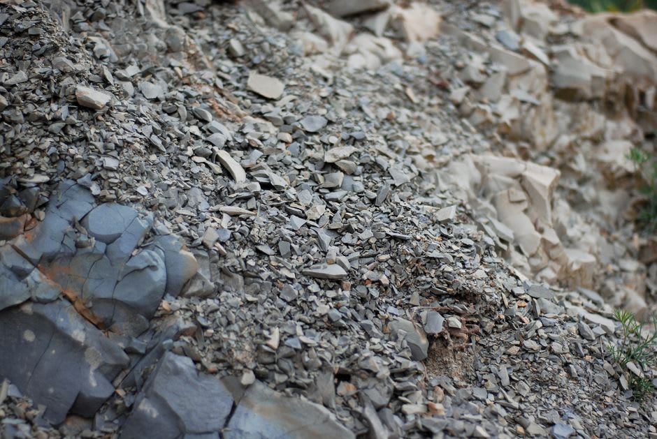 Fossil-bearing shale rock face high in the alpine terrain above Field, with mountains in the background