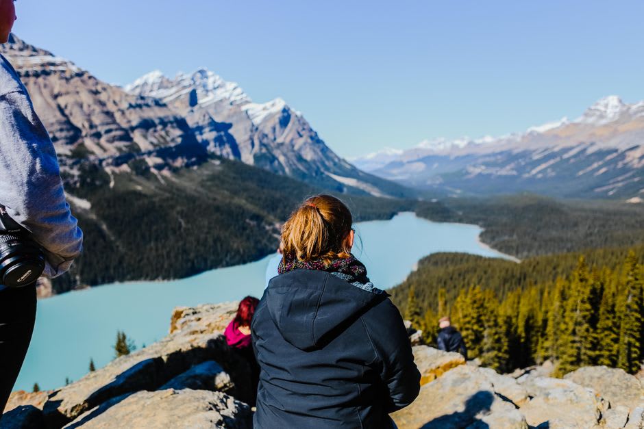 The turquoise waters of Peyto Lake viewed from the Bow Summit lookout trail