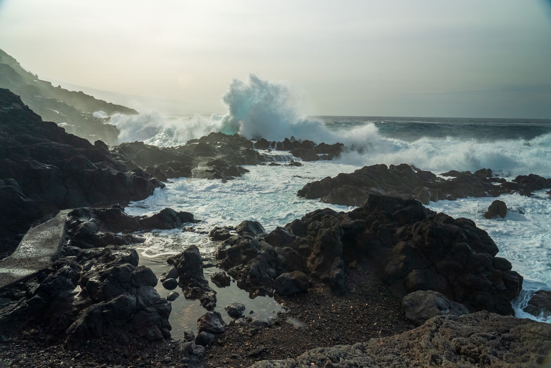 Ancient Canarian juniper trees sculpted into horizontal wind-shaped forms against a stormy sky on the north coast of El Hierro