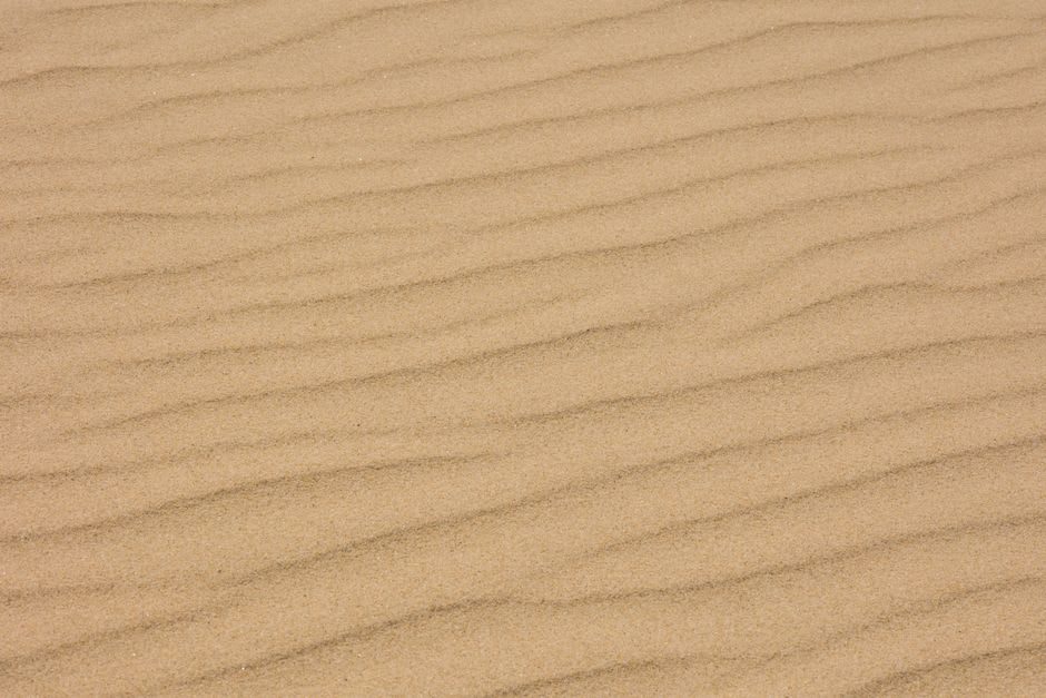 Wind-rippled sand dunes in Corralejo Natural Park with the ocean in the distance