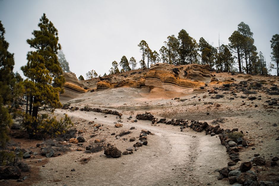 Hikers walking the dirt trail toward Roque Nublo with pine forest below