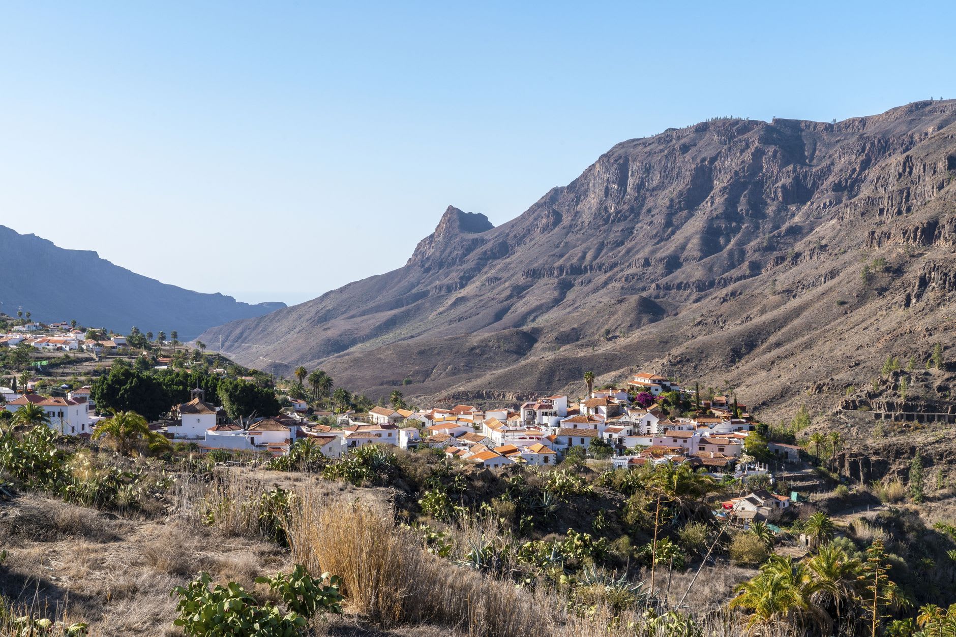 Le monolithe de basalte du Roque Nublo s'élevant depuis le bord de la caldeira au-dessus de Tejeda, fleurs d'amandier roses au premier plan