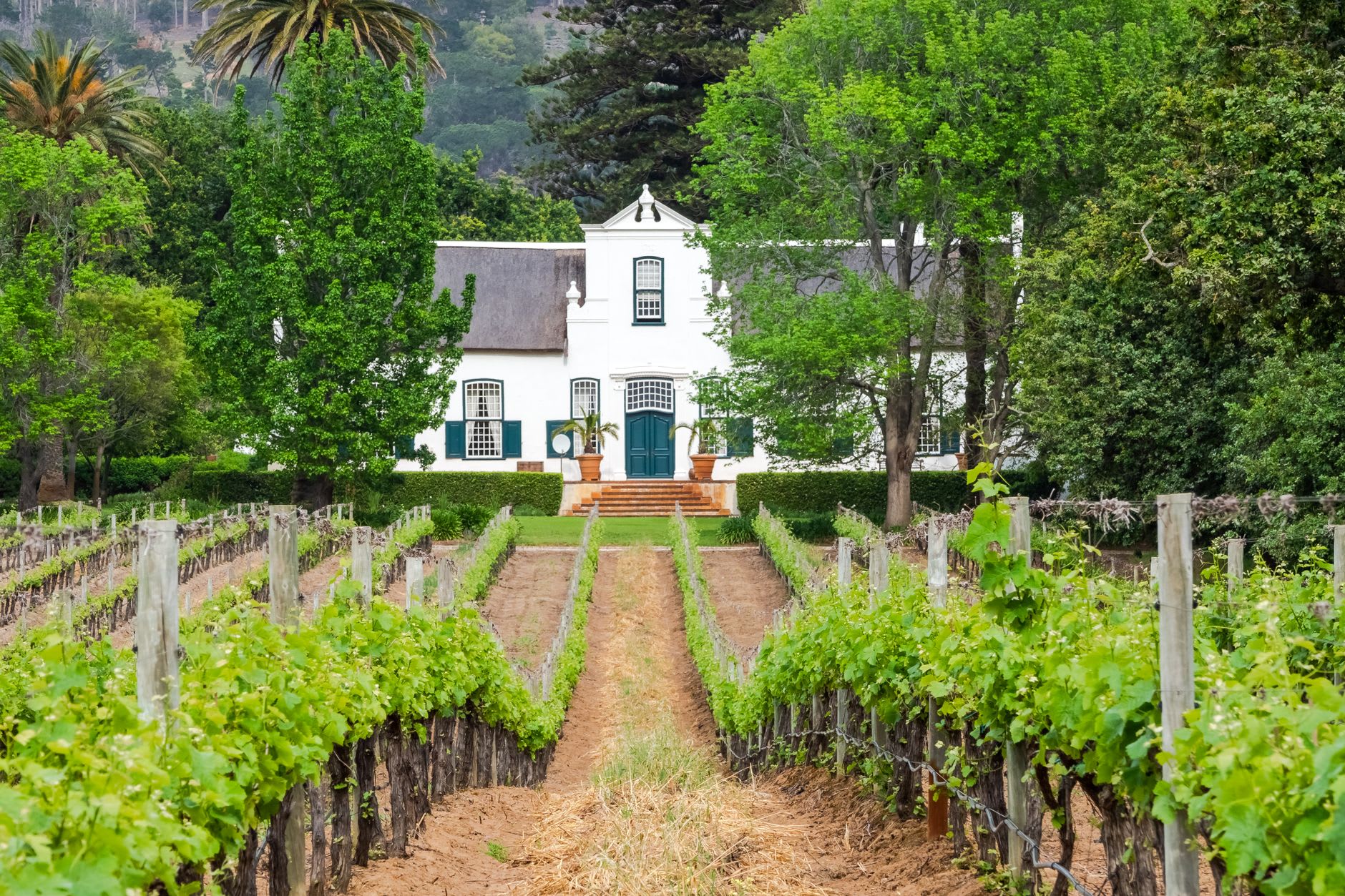 Banhoek Valley steep granite walls with vine rows and a mountain stream at the valley floor