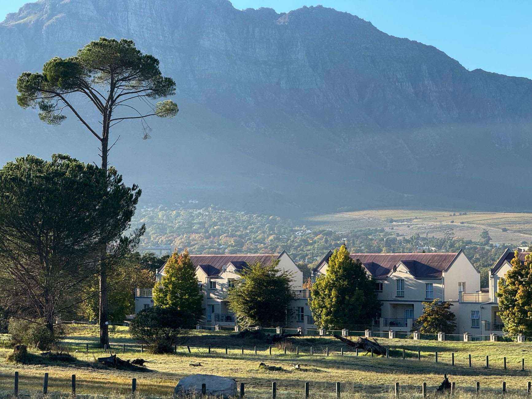 Vignobles de la Vallée de Constantia avec les couleurs automnales des feuilles et False Bay visible au loin au coucher du soleil