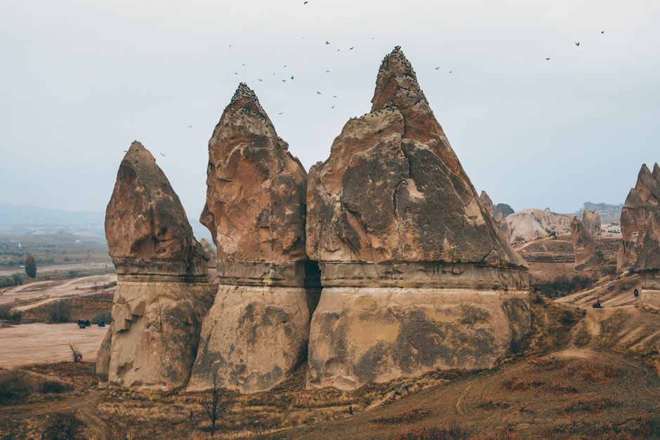 A cluster of tall, phallic fairy chimneys standing together in Love Valley, their tufa surfaces glowing orange in the late afternoon sun
