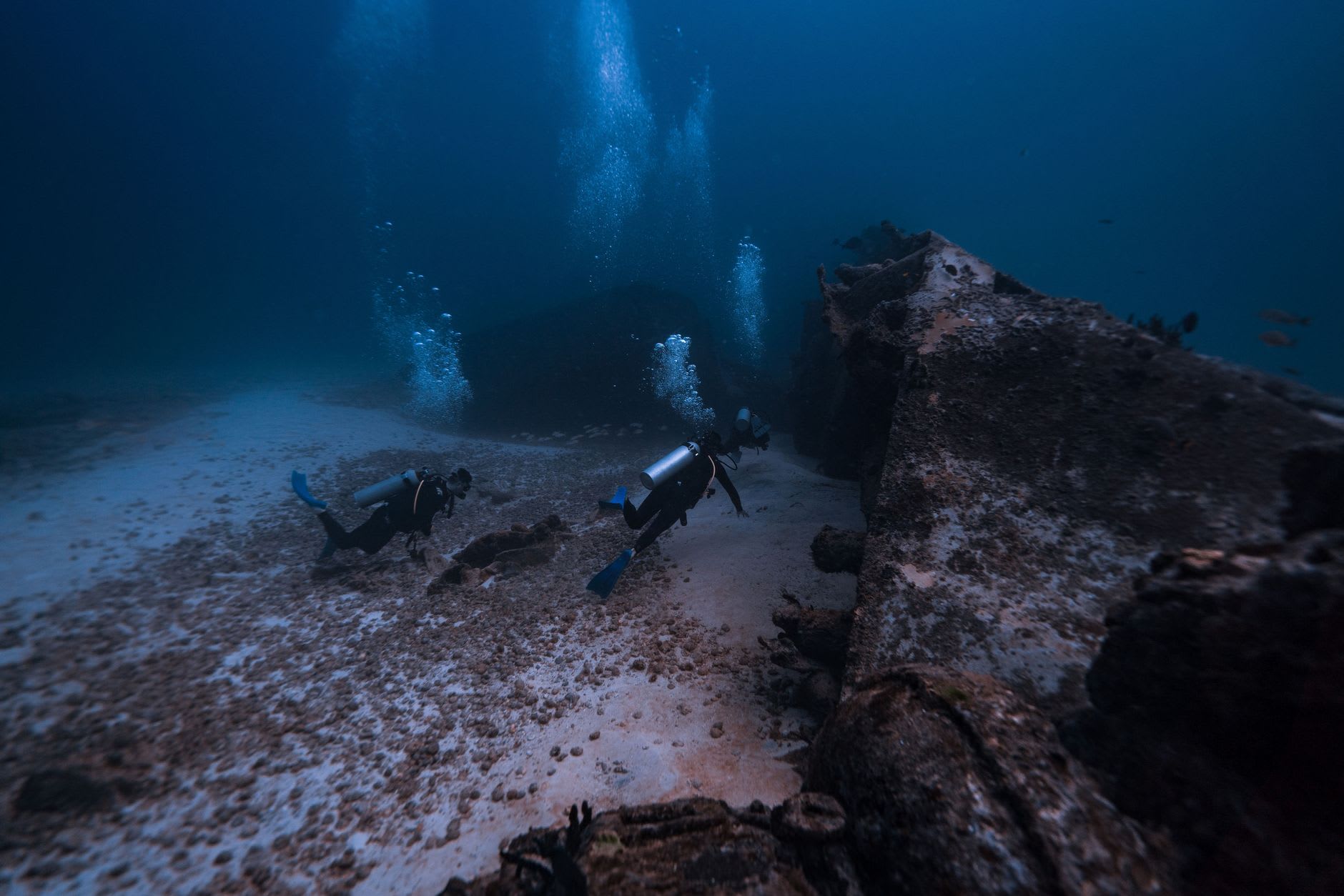Close-up of the Kittiwake's wheelhouse windows, now framed by soft coral and a school of blue tang pausing in the opening where glass used to be