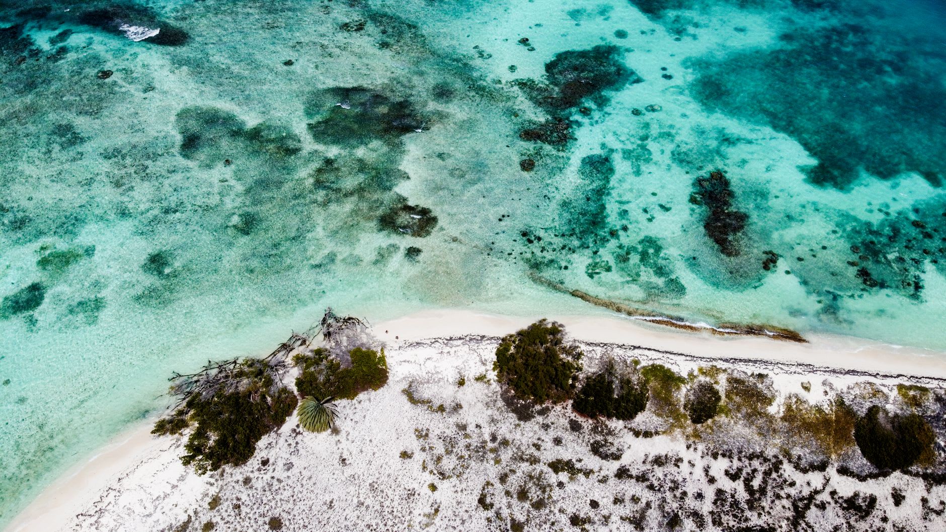 View from a kayak approaching Owen Island, the sand almost white against the turquoise water, with Little Cayman's green vegetation visible across the channel