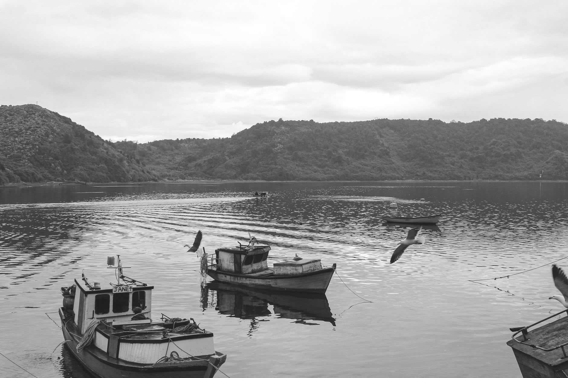 Wooden fishing boat on the still surface of Lago Vichuquén at dawn with mist rising from the water