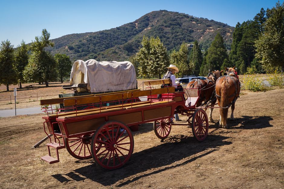 A horse-drawn wooden wagon carrying visitors between vine rows at a Colchagua estate