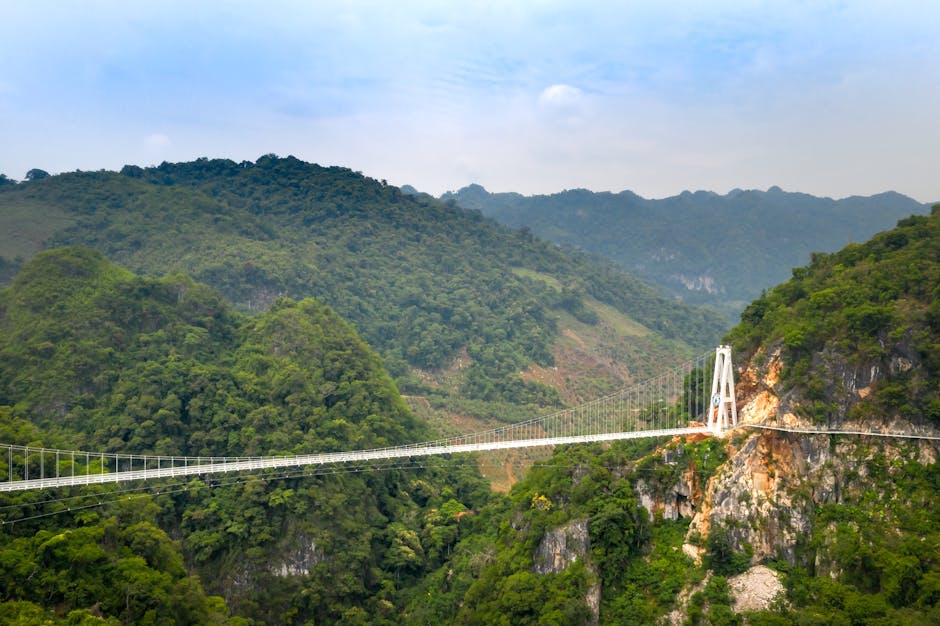The glass bridge spanning a canyon in Zhangjiajie