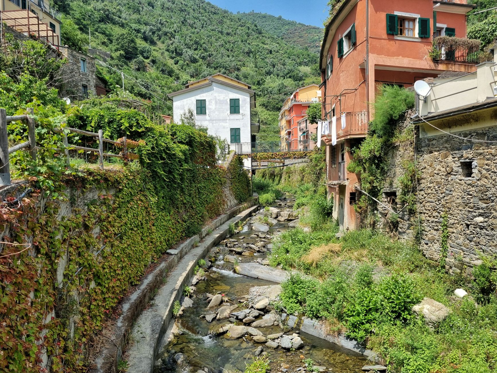 Morning light on the Sentiero Azzurro path between Riomaggiore and Manarola, wild herbs and sea below
