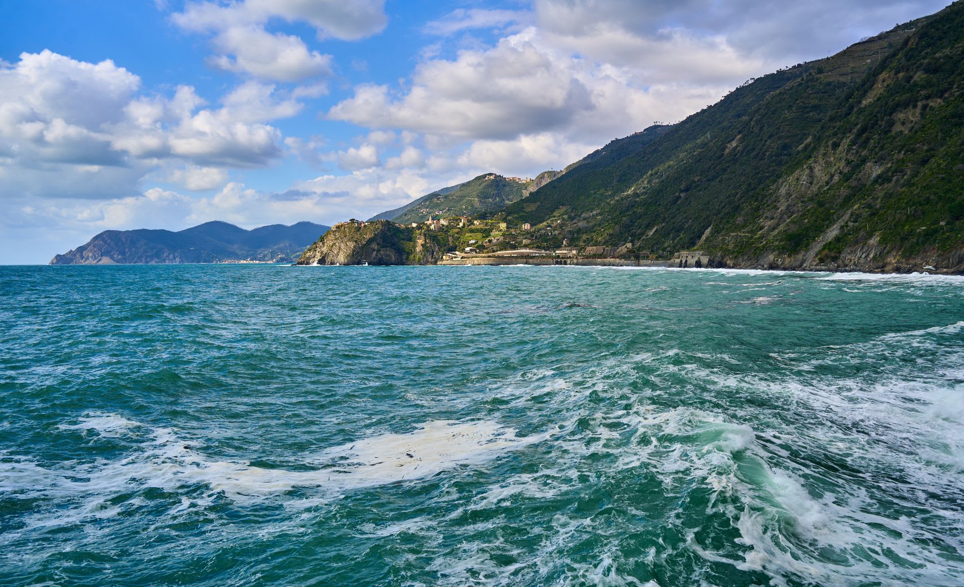 The Via dell'Amore cliff-face cut with ferns and wildflowers in the rock, the sea far below the railing