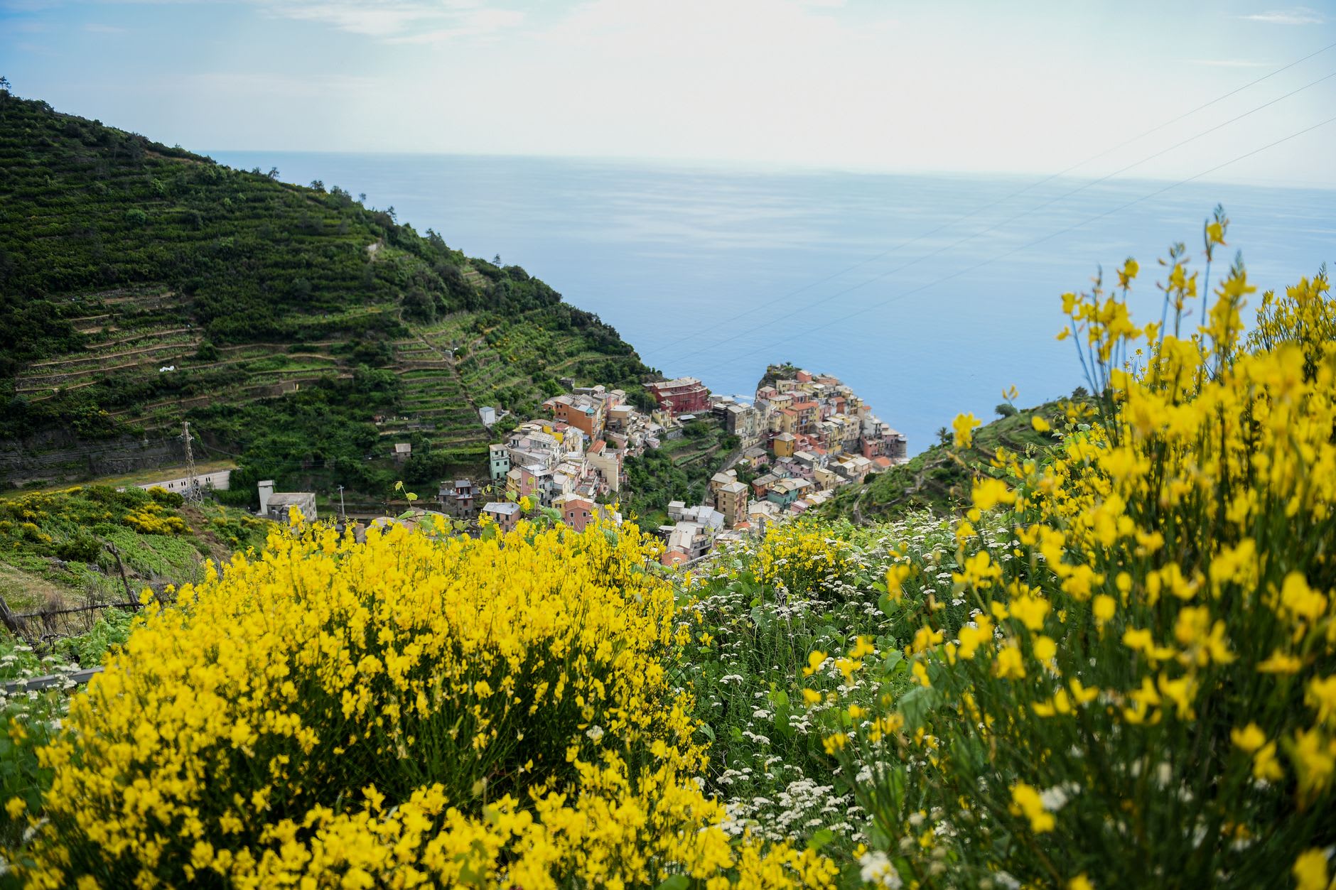 Toute la ligne de côte des Cinque Terre depuis la crête de Volastra, cinq villages visibles dans les deux sens le long des falaises en terrasses