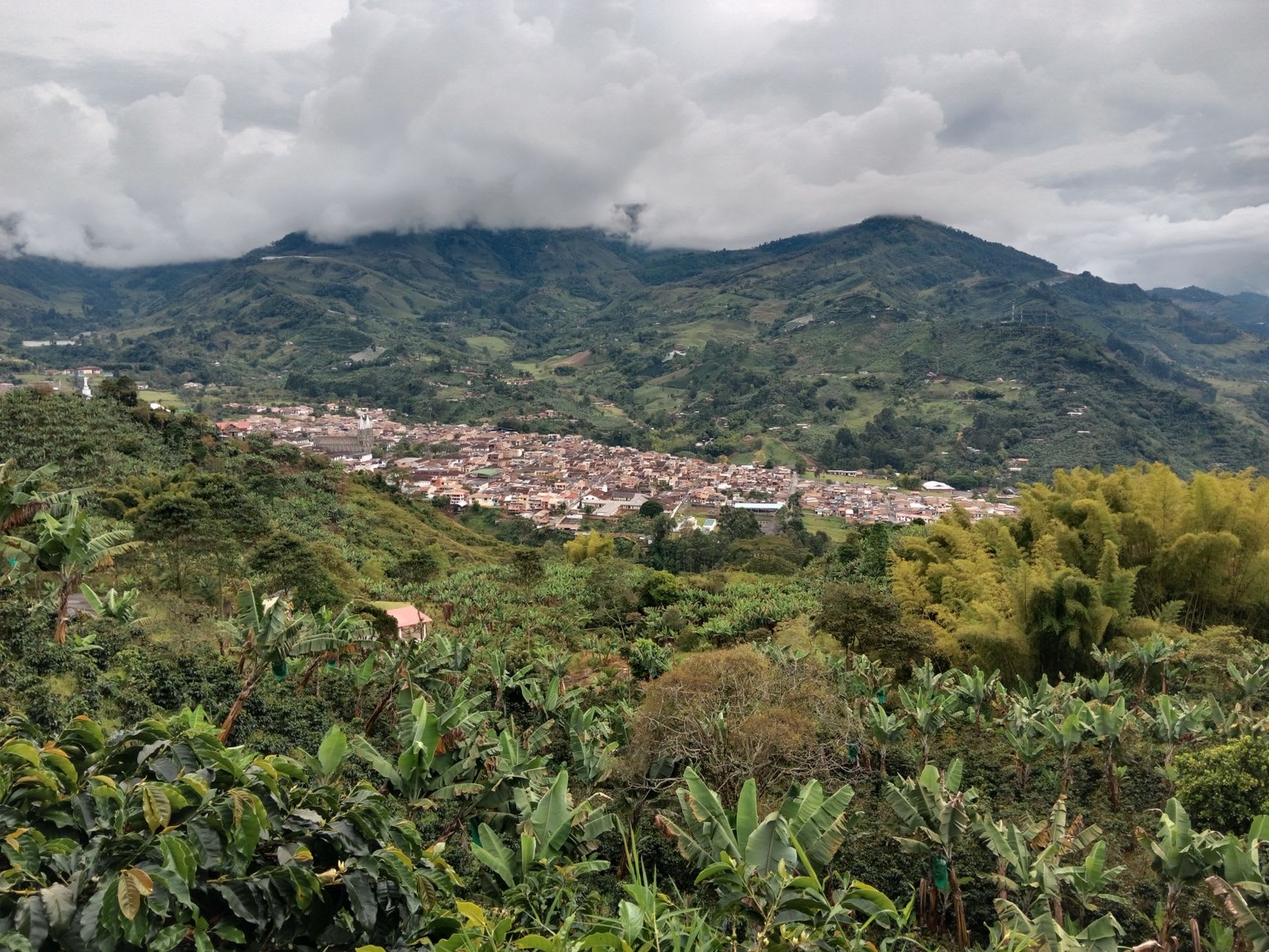 Filandia's mirador observation platform in morning light, the Quindío valley hazy and green below