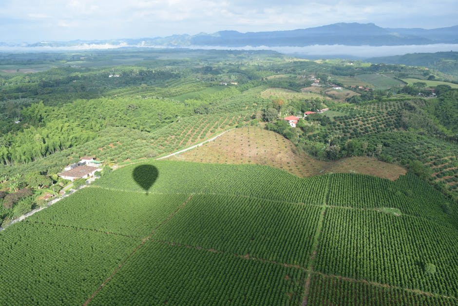 Misty mountains above coffee plantations in the Eje Cafetero