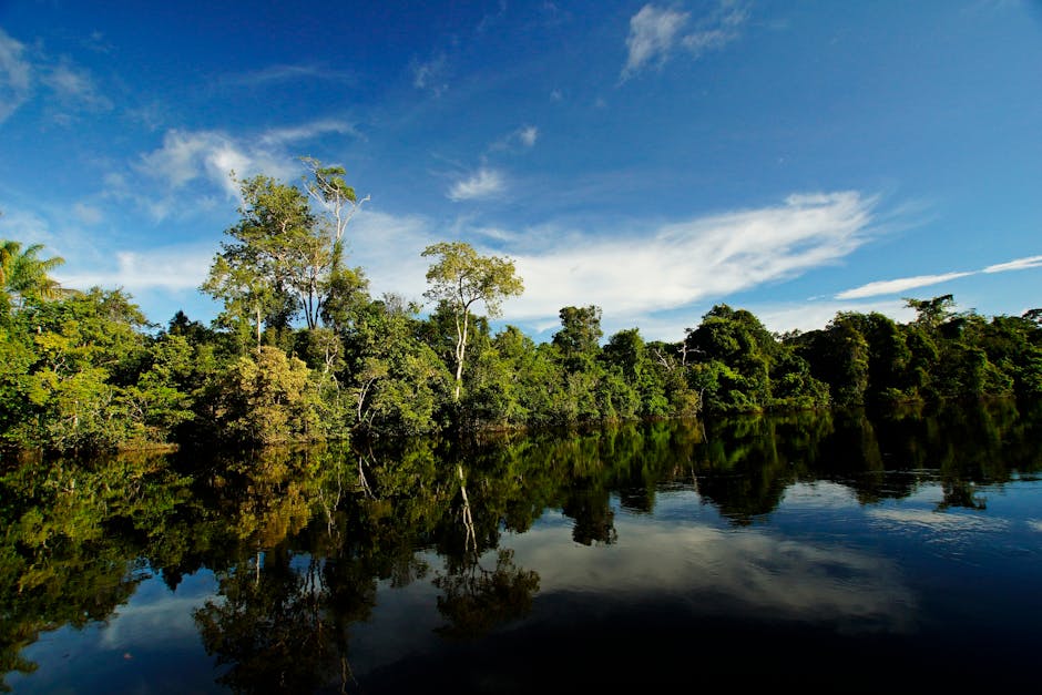 A river winding through dense tropical jungle in the Amazon basin