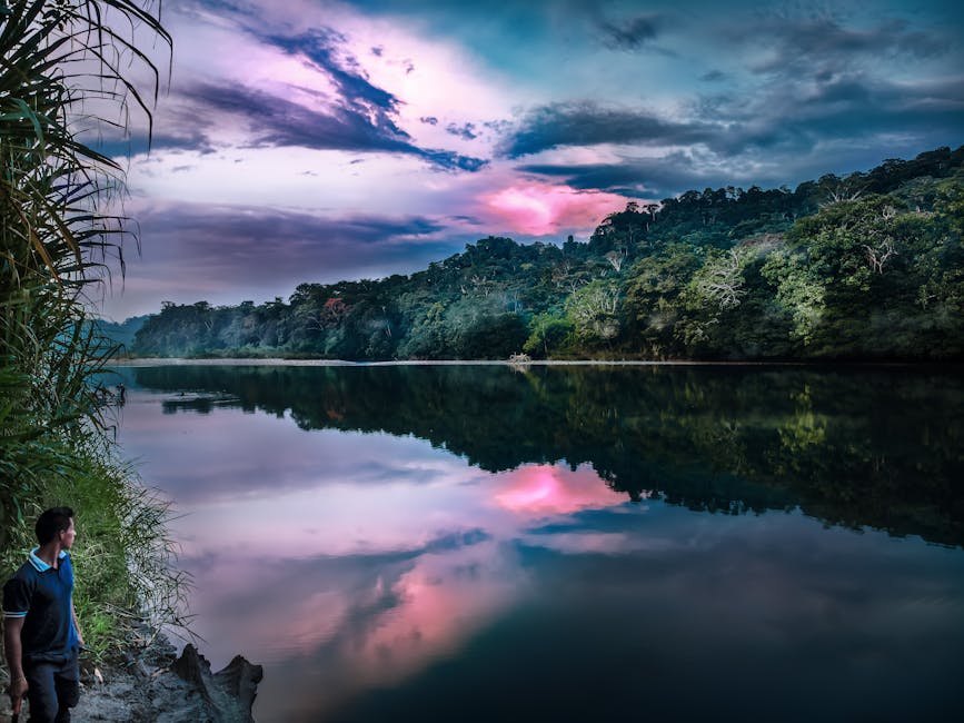 Wildlife in the Amazon rainforest along a jungle waterway