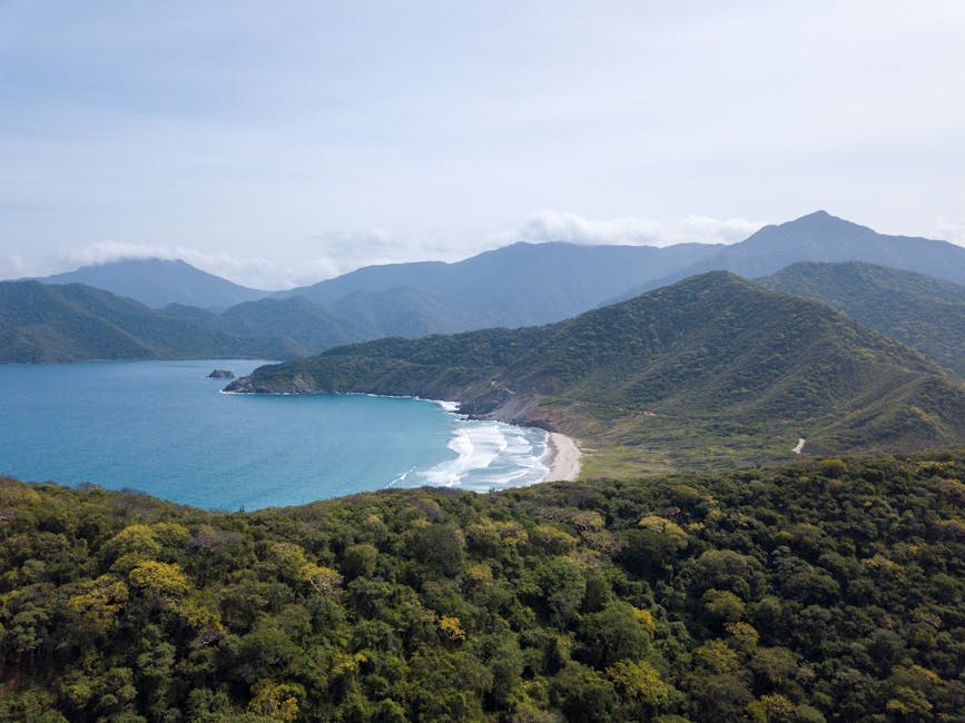 Rocky coastline with jungle vegetation meeting the Caribbean sea