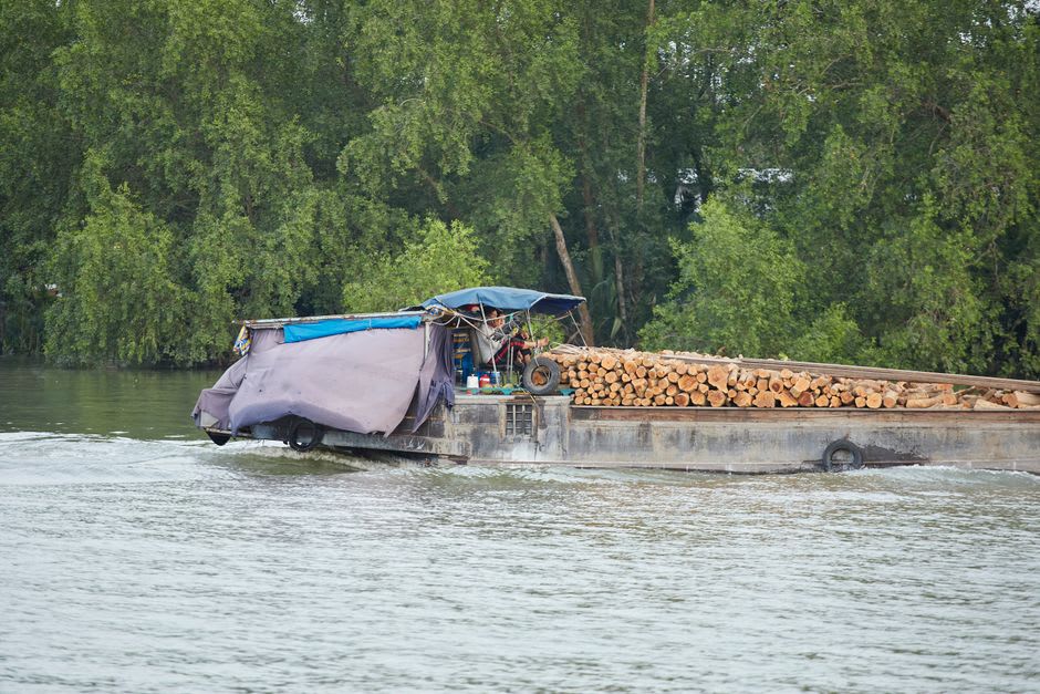 A timber barge and forest-lined riverbank near Ouesso on the Sangha River