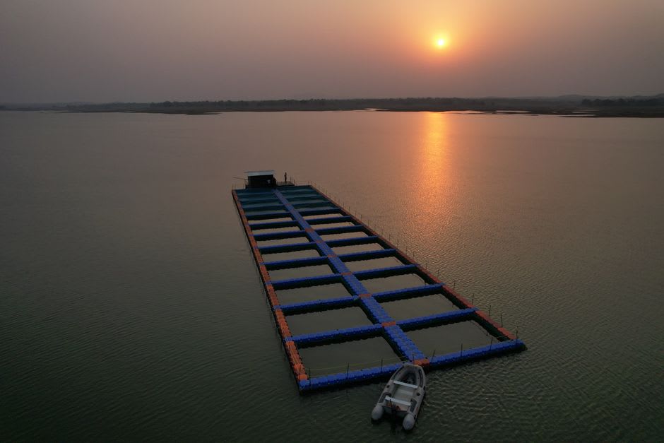 Pearl farm lines strung across the still lagoon waters of Manihiki, floats bobbing on the surface